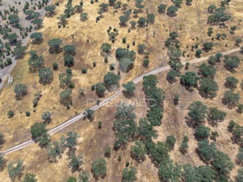 Terreno rústico de 9,975 hectares à venda, capelins