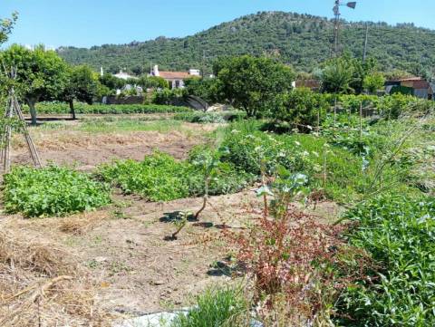 Quinta porto da bouga