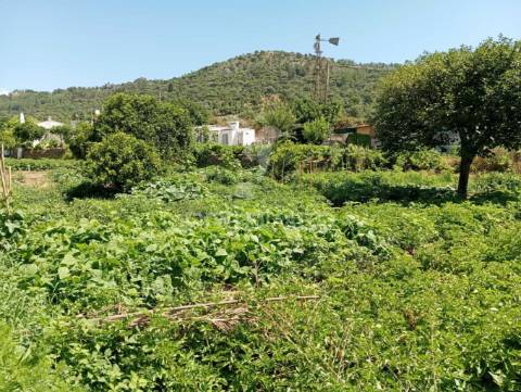 Quinta porto da bouga