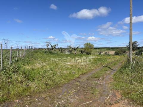 Terreno rústico de 0,65 hect