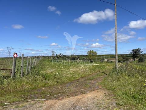 Terreno rústico de 0,65 hect