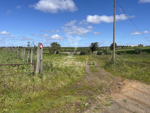 Terreno rústico de 0,65 hect