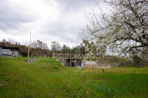 Moradia t7 próxima de mangualde