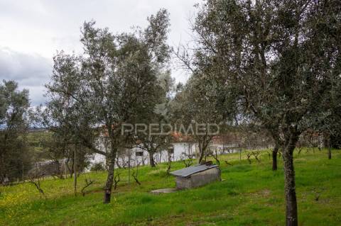 Moradia t7 próxima de mangualde