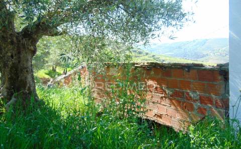 Conjunto de 2 casas de campo p/recuperar em vila real