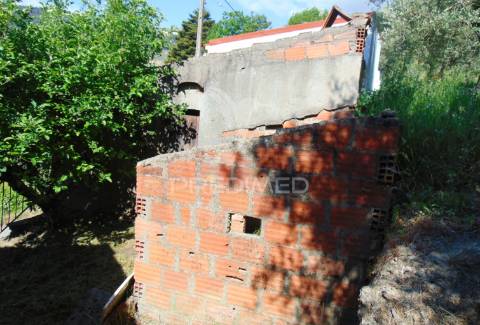Conjunto de 2 casas de campo p/recuperar em vila real