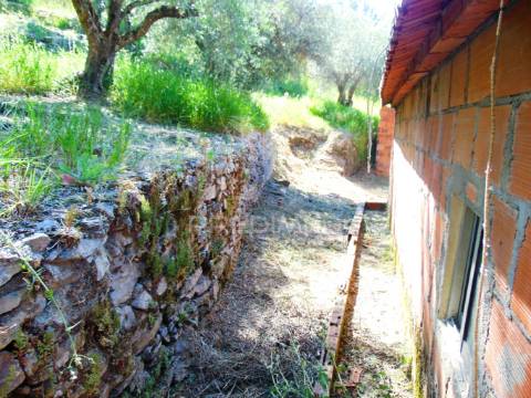 Conjunto de 2 casas de campo p/recuperar em vila real
