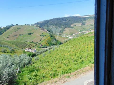 Conjunto de 2 casas de campo p/recuperar em vila real