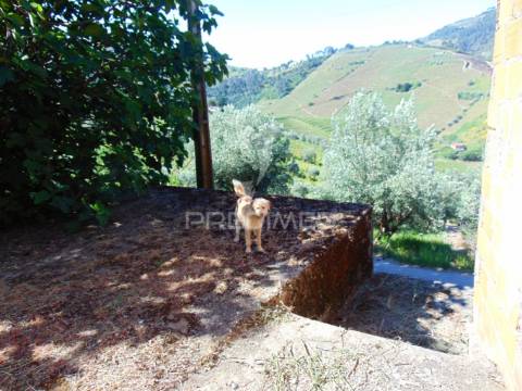 Conjunto de 2 casas de campo p/recuperar em vila real