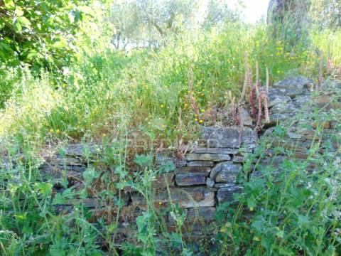 Conjunto de 2 casas de campo p/recuperar em vila real