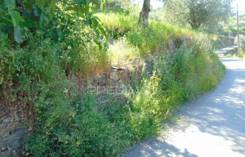 Conjunto de 2 casas de campo p/recuperar em vila real