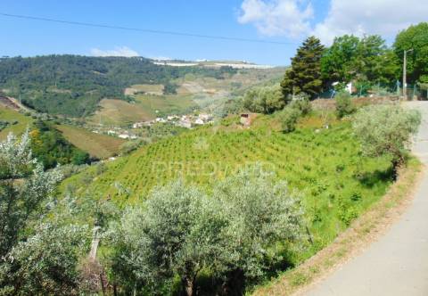 Conjunto de 2 casas de campo p/recuperar em vila real