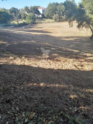 Terreno rústico com viabilidade de construção "oportunidade de investimento"