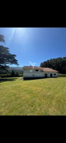 Quinta no santo da serra com (11,258 m2)