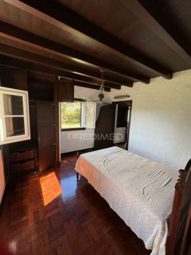 Quinta no santo da serra com (11,258 m2)