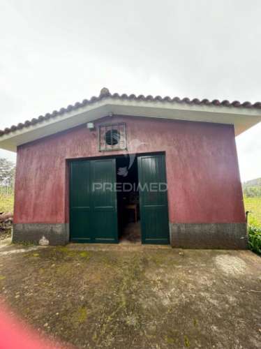 Quinta no santo da serra com (11,258 m2)