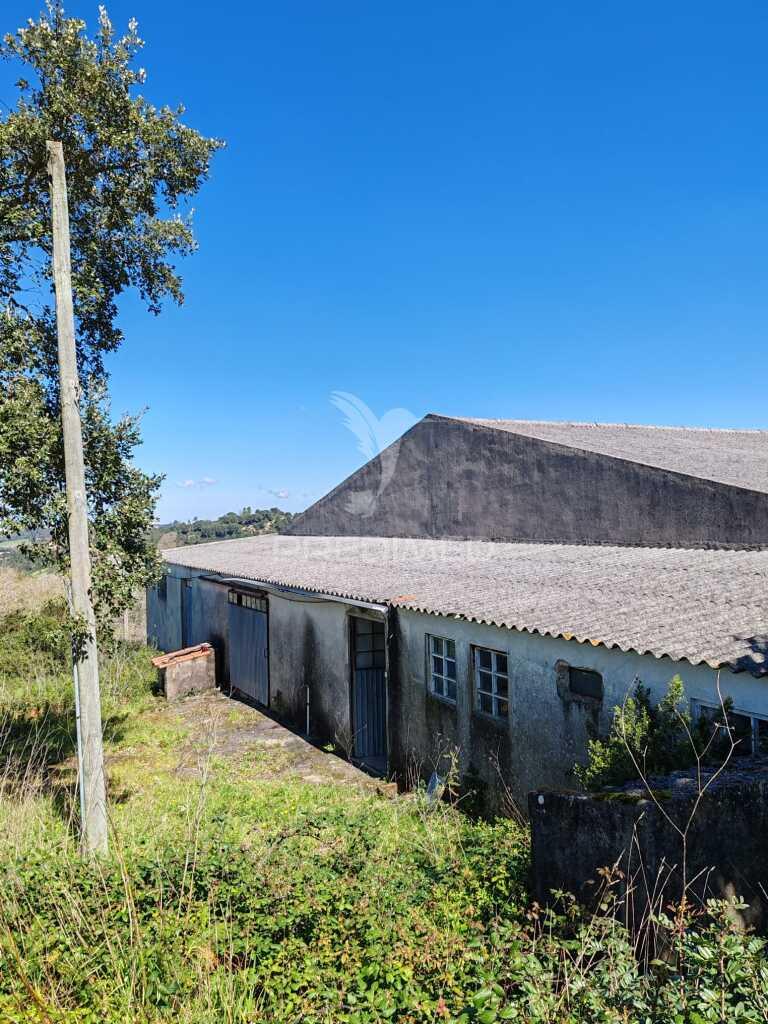 Pavilhão