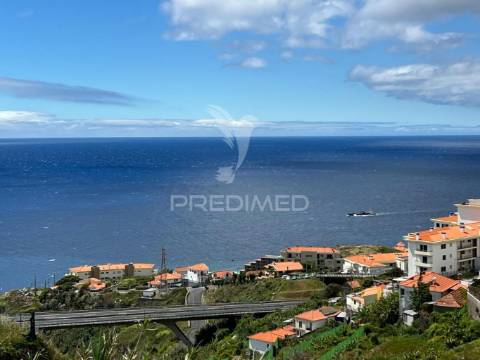 Terreno urbano de 600m2 no caniço - ilha da madeira