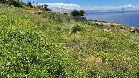 Terreno urbano de 600m2 no caniço - ilha da madeira