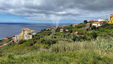 Terreno urbano de 600m2 no caniço - ilha da madeira