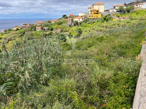 Terreno urbano de 600m2 no caniço - ilha da madeira