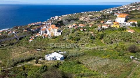 Terreno urbano de 600m2 no caniço - ilha da madeira