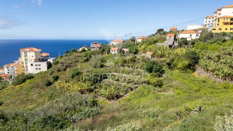 Terreno urbano de 600m2 no caniço - ilha da madeira
