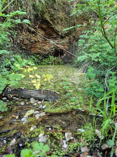 Monte alentejano em fonte boa de baixo
