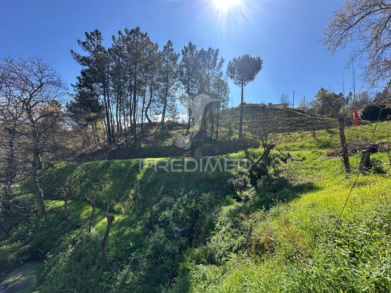 Terreno