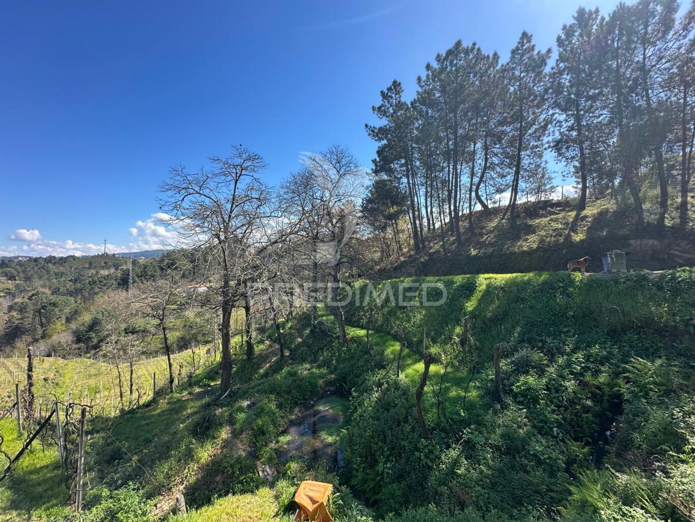 Terreno