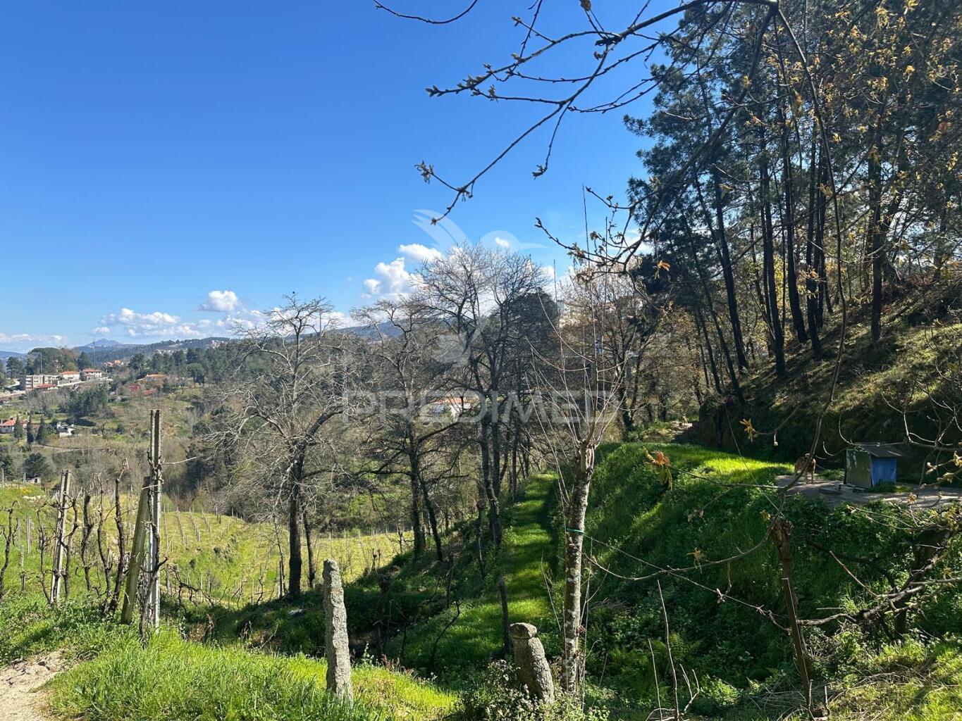Terreno
