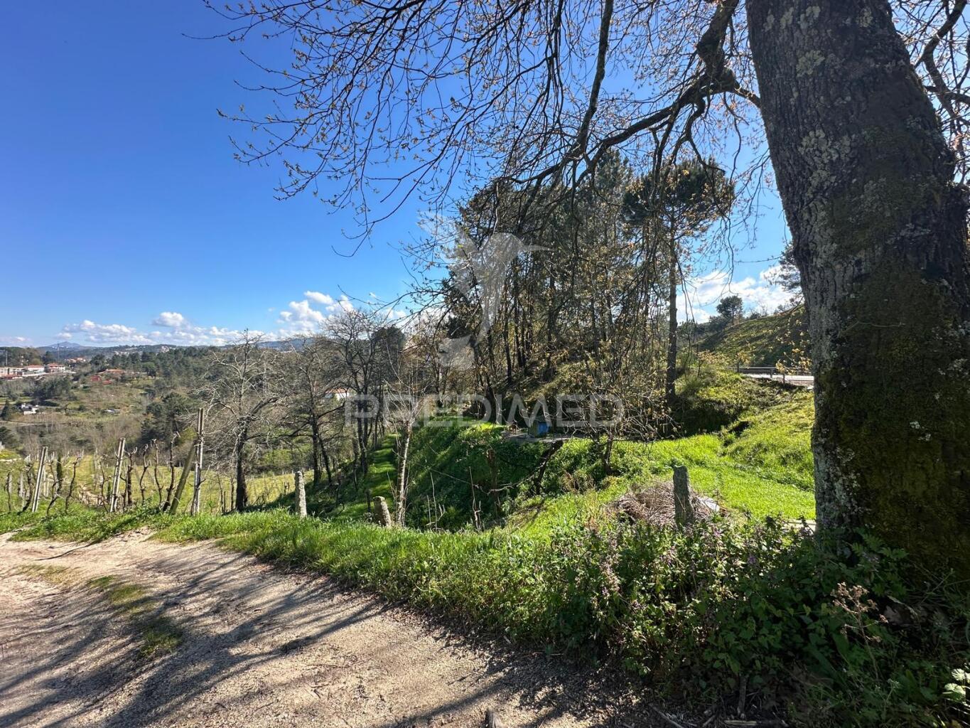Terreno