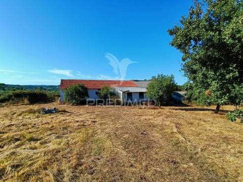 Terreno  misto com suinicultura.