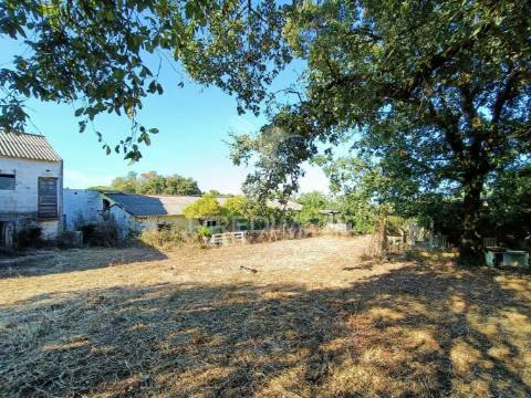 Terreno  misto com suinicultura.