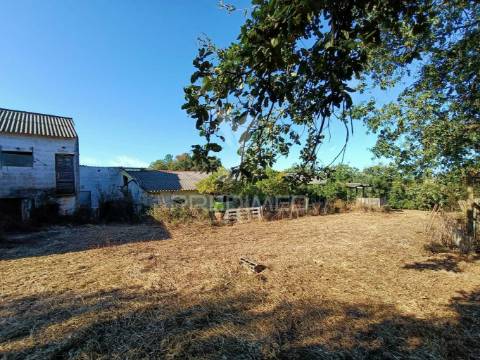 Terreno  misto com suinicultura.