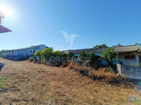 Terreno  misto com suinicultura.