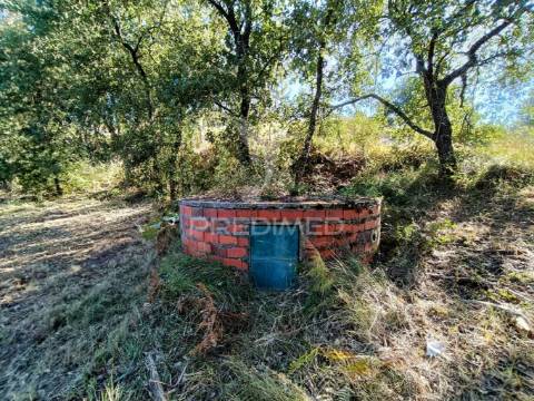 Terreno  misto com suinicultura.