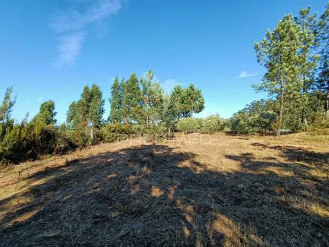 Terreno  misto com suinicultura.