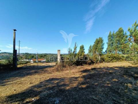 Terreno  misto com suinicultura.