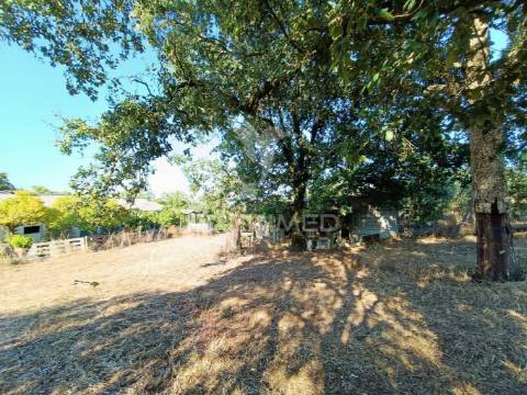 Terreno  misto com suinicultura.