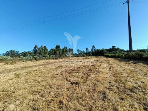 Terreno  misto com suinicultura.