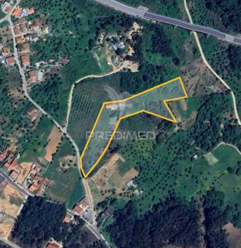 Terreno  misto com suinicultura.