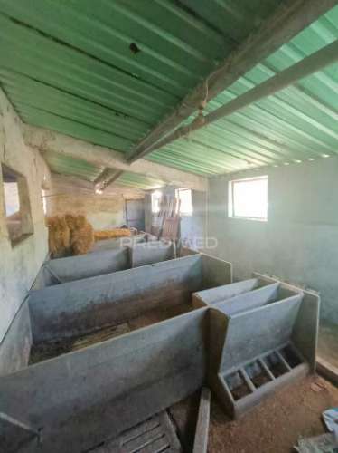 Terreno  misto com suinicultura.