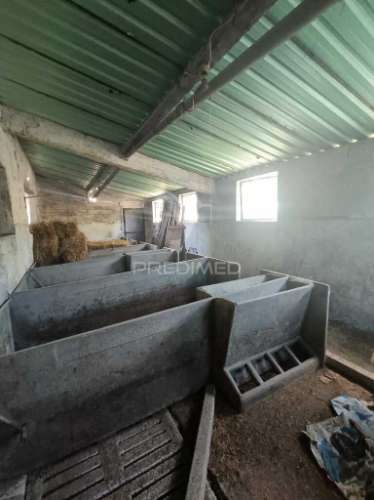 Terreno  misto com suinicultura.