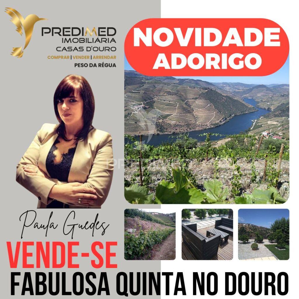 Magnífica quinta vinícola, para venda, no alto douro vinhateiro