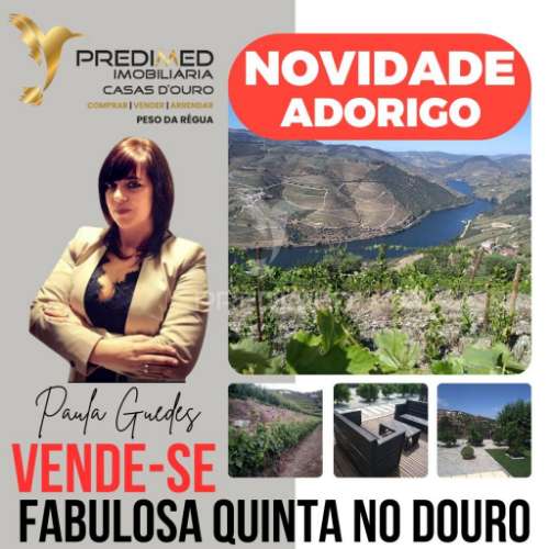 Magnífica quinta vinícola, para venda, no alto douro vinhateiro