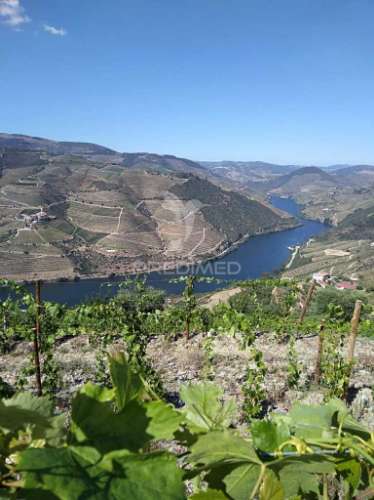 Magnífica quinta vinícola, para venda, no alto douro vinhateiro