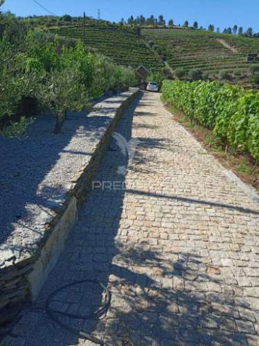 Magnífica quinta vinícola, para venda, no alto douro vinhateiro
