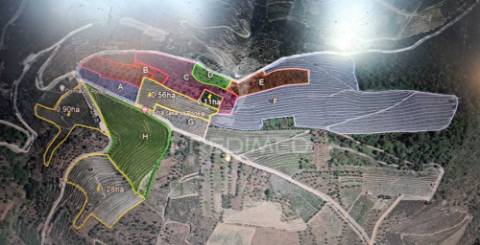 Magnífica quinta vinícola, para venda, no alto douro vinhateiro