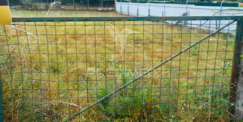 Terreno a 8 kms de vila real